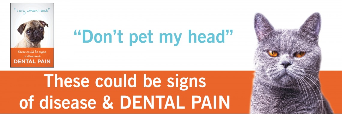 Dental